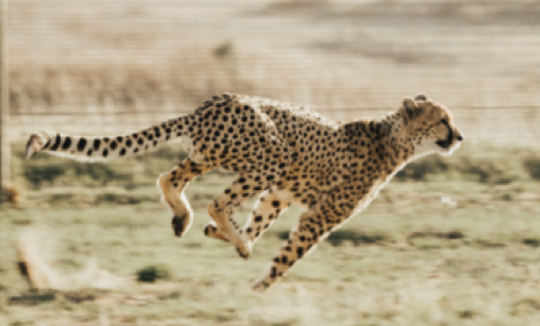 le mouvement inspire christian waniez